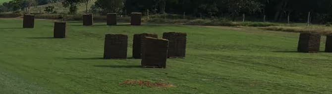 Pilhas de placas de grama prontas, espalhadas pelo campo de cultivo